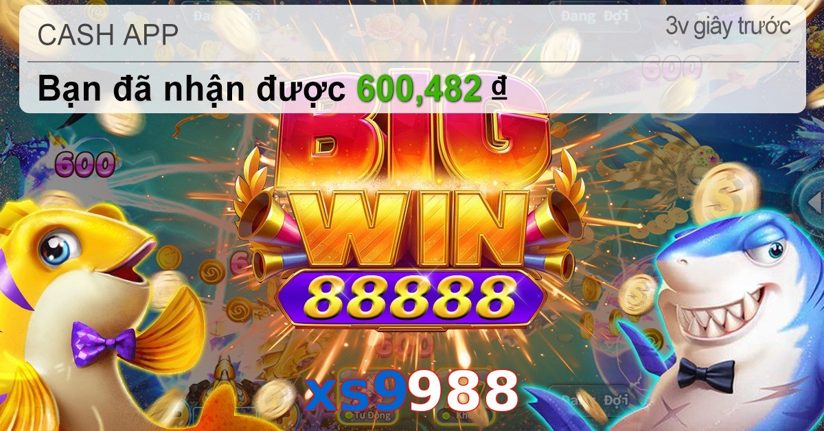 xs9988